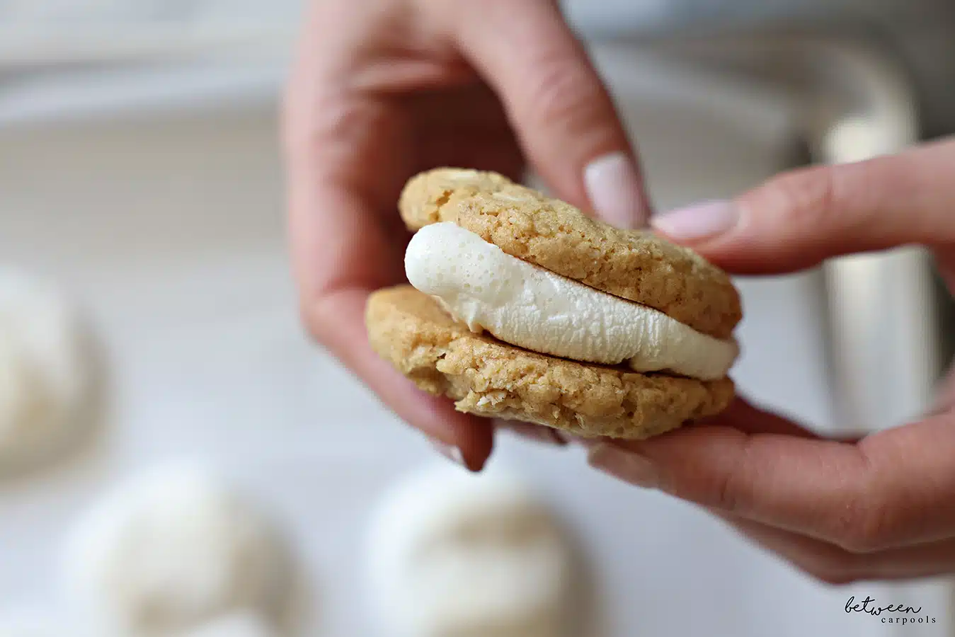 Holding a Toasted Marshmallow Sandwich Cookie in two hands - closeup