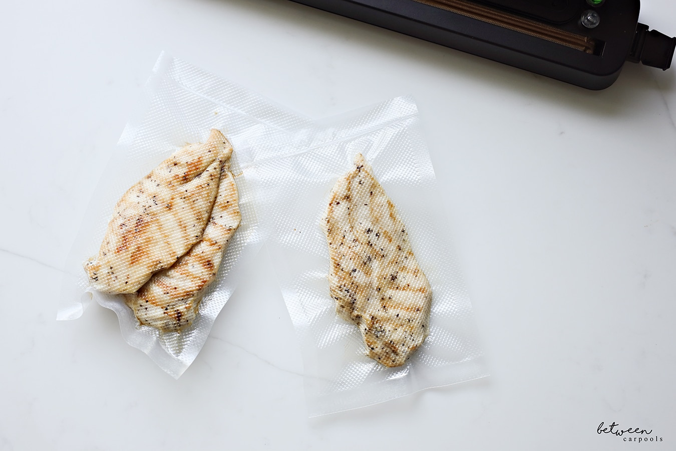 Vacuum Seal Some Chicken Or Jerky for Meals on the Go or at Yeshiva -  Between Carpools