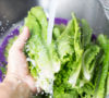 Are Your Veggies Are Really Kosher?