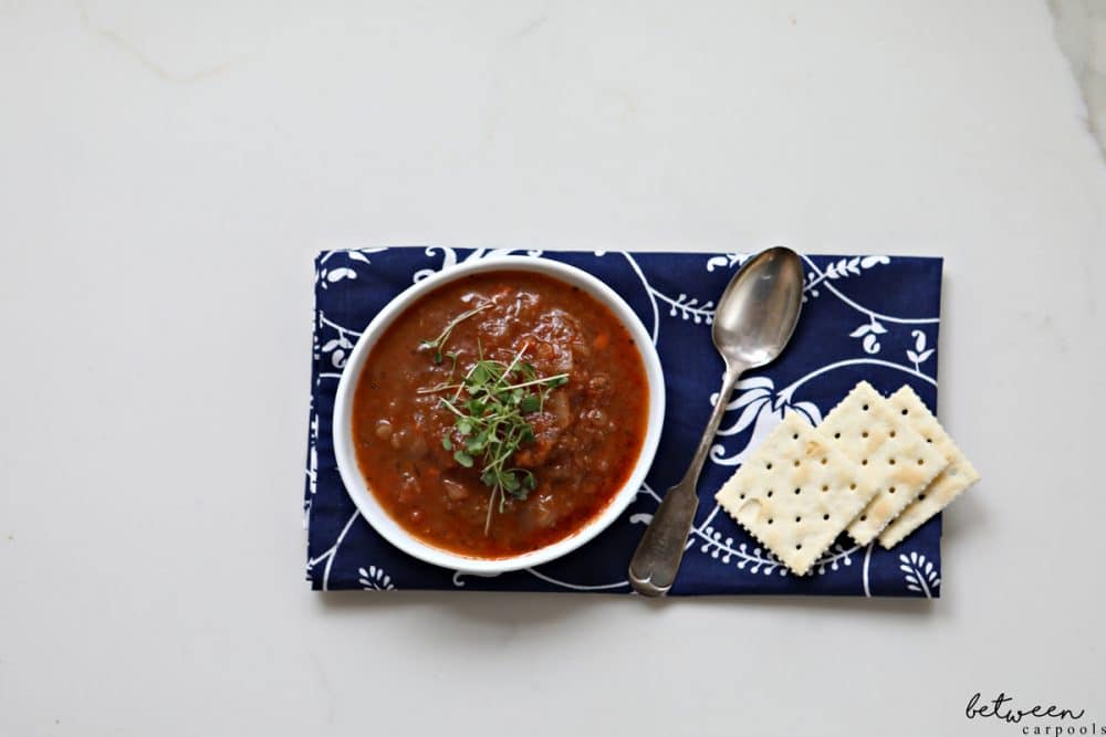 Zero Calorie Minestrone Soup