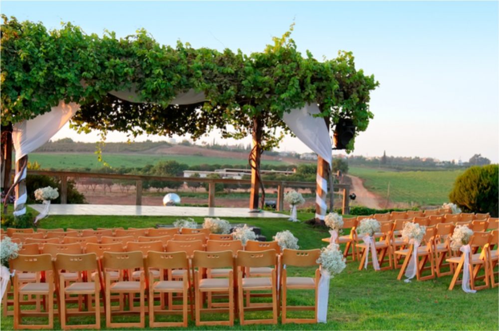 The Trees and You: Three relationship tips in honor of Tu B’Shvat