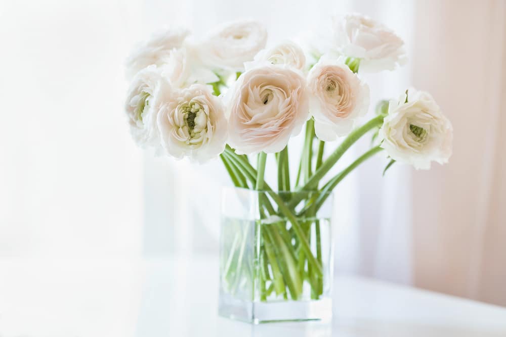 12 Ways to Extend the Life of Your Flowers. You spend all day making that arrangement. And then...ugh! It begins wilting before the second day of Yom Tov. What did you do wrong?