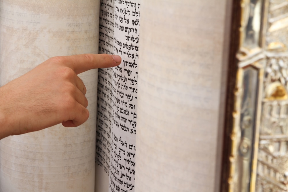 5 Reasons Why Shavuos is My Favorite Yom Tov. Oh Shavuos how do I love thee?