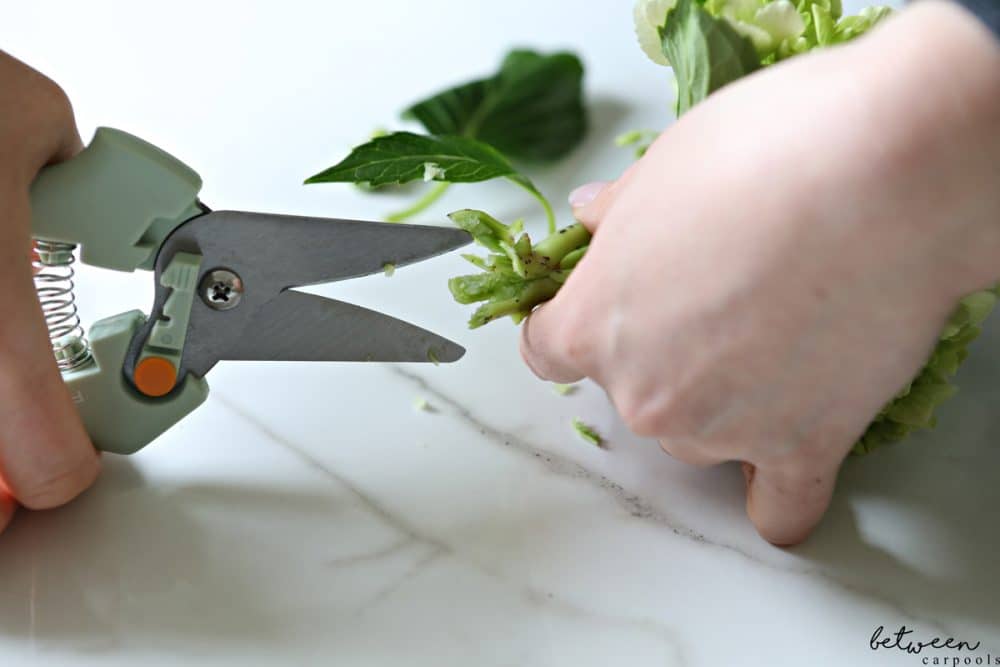 Can’t Keep Your Hydrangeas Alive? This Quick Tip Will Help. We learn cool things by watching our friends