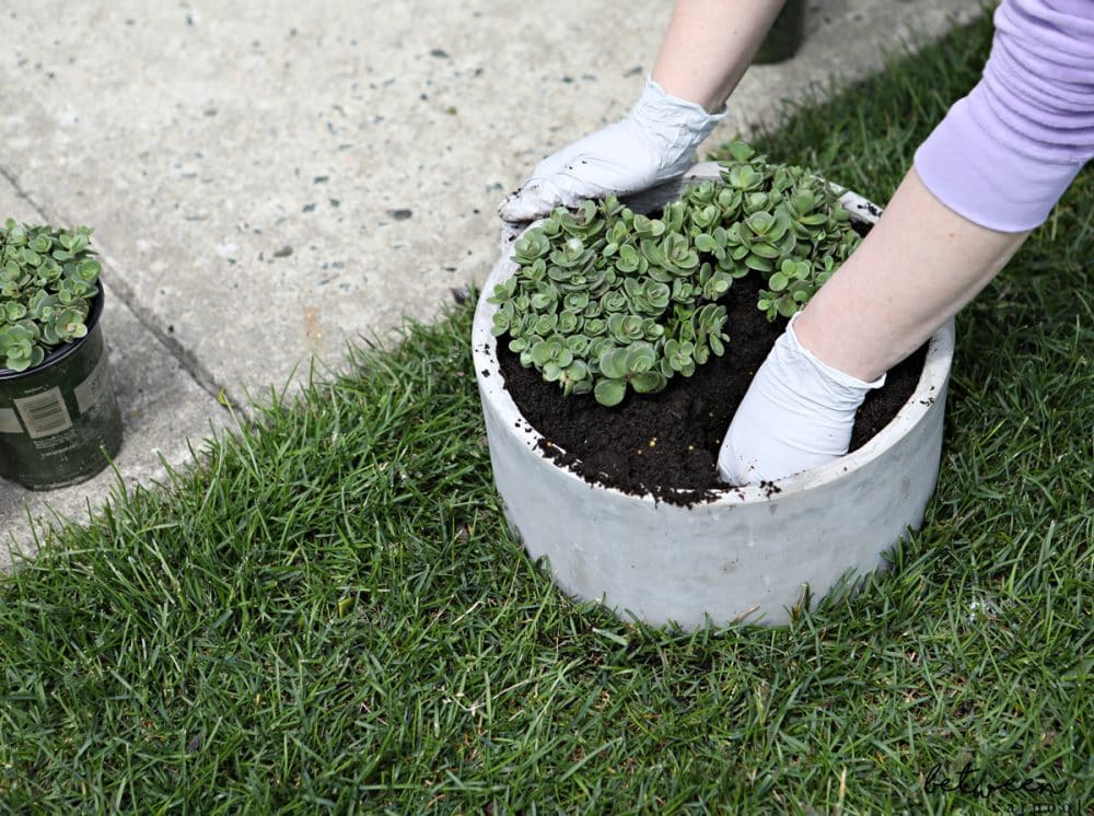 The Best Way to Upgrade the Look of Your Home? Add a Pop of Summer Color with a Planter of Flowers. Here’s How. You don't need to own a yard or a deck to plant your own flowers. All you need is some sunlight, a planter and soil.