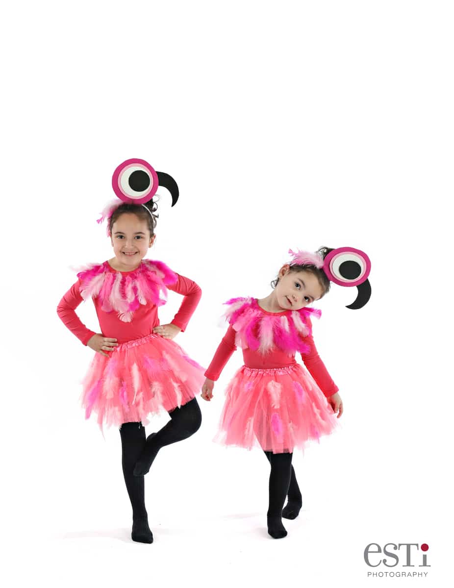 flamingo costume idea