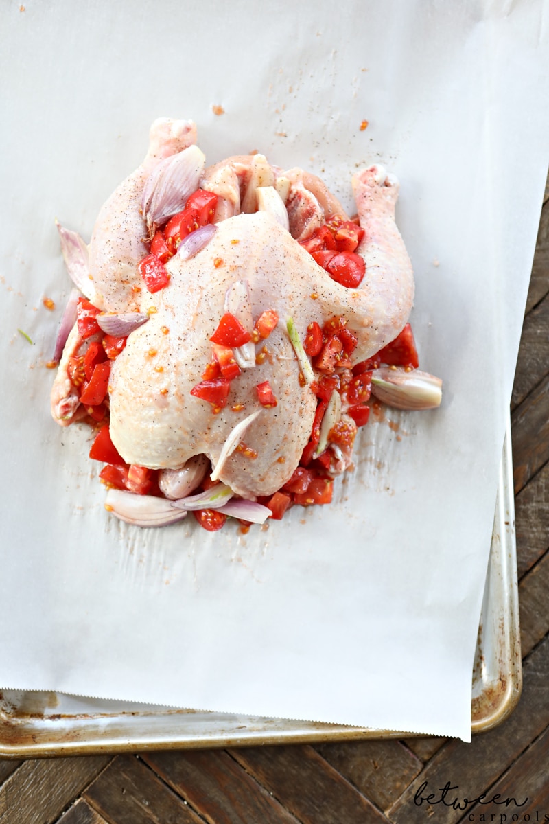 This Roasted Tomato and Shallots Chicken is Not Just Another Chicken Recipe. Easy to prep. Check. Minimal ingredients. Check. Loads of flavor. Check. This roast chicken is the perfect way to up your game for Yom Tov.