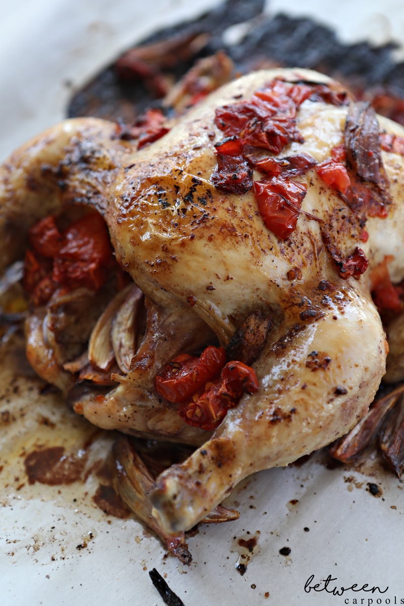 This Roasted Tomato and Shallots Chicken is Not Just Another Chicken Recipe. Easy to prep. Check. Minimal ingredients. Check. Loads of flavor. Check. This roast chicken is the perfect way to up your game for Yom Tov.