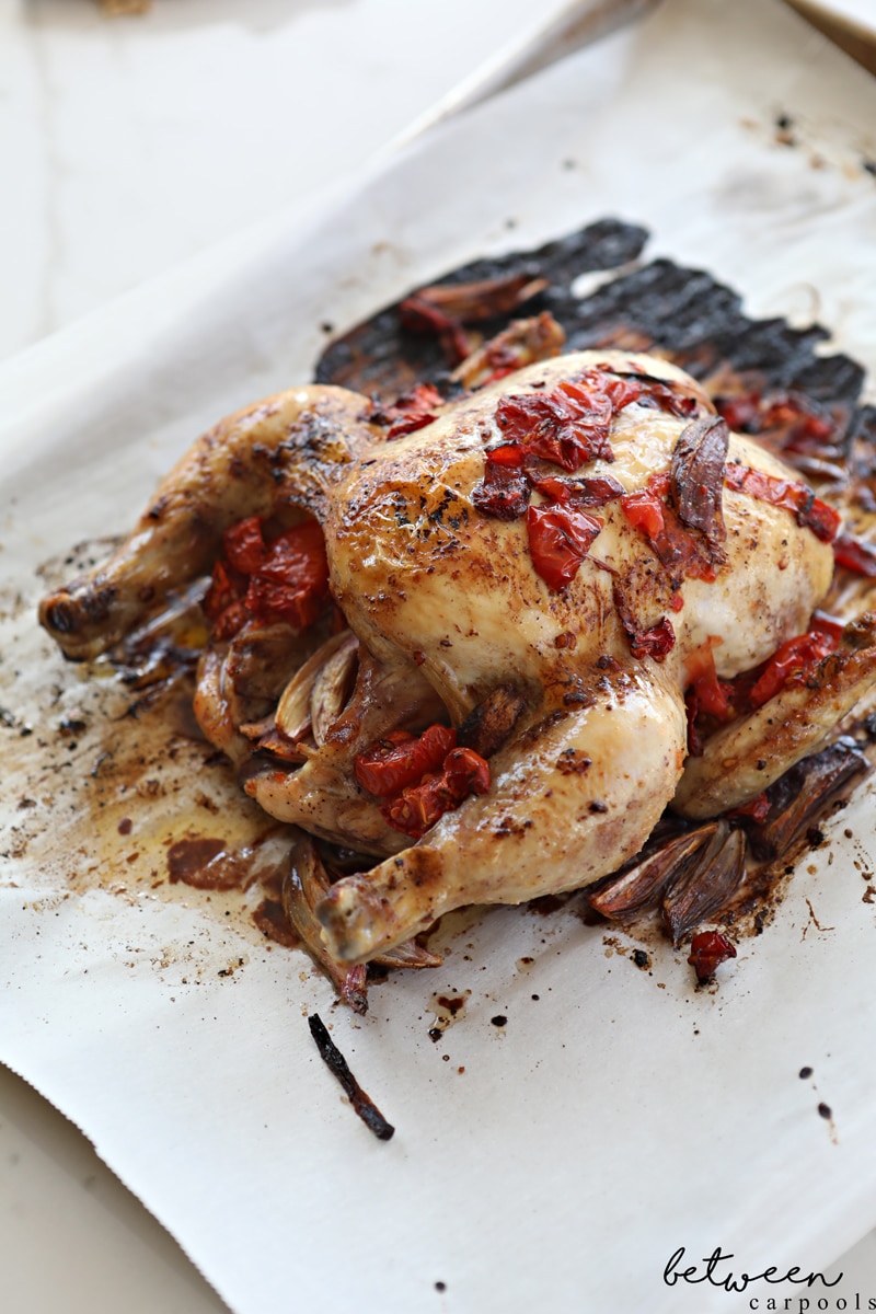 This Roasted Tomato and Shallots Chicken is Not Just Another Chicken Recipe. Easy to prep. Check. Minimal ingredients. Check. Loads of flavor. Check. This roast chicken is the perfect way to up your game for Yom Tov.