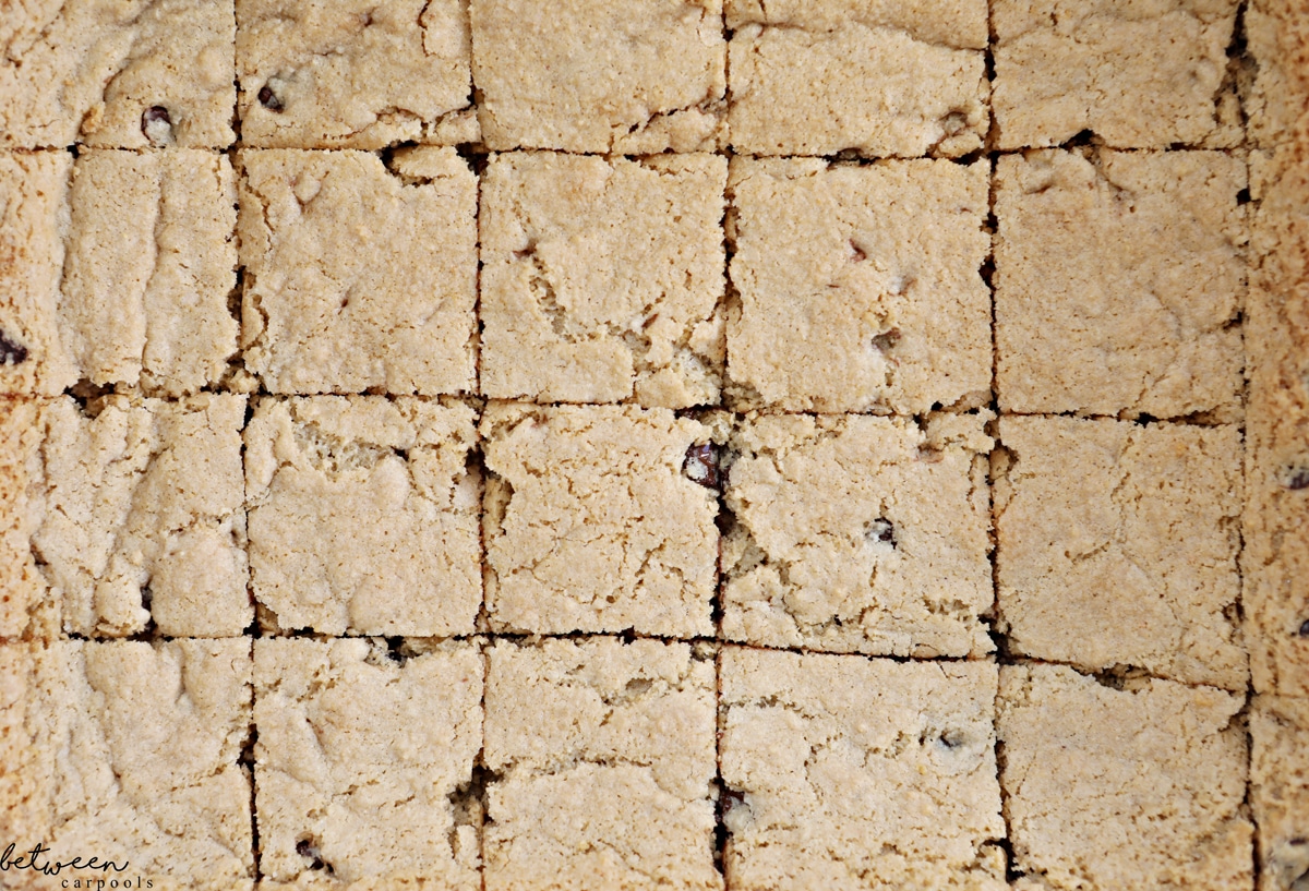 No Mixer Pesach Chocolate Chip Squares (Mix ‘Em Right in the Pan). We know you love all this one pan stuff! Now you can make your cake and avoid washing any bowls...on Pesach too!