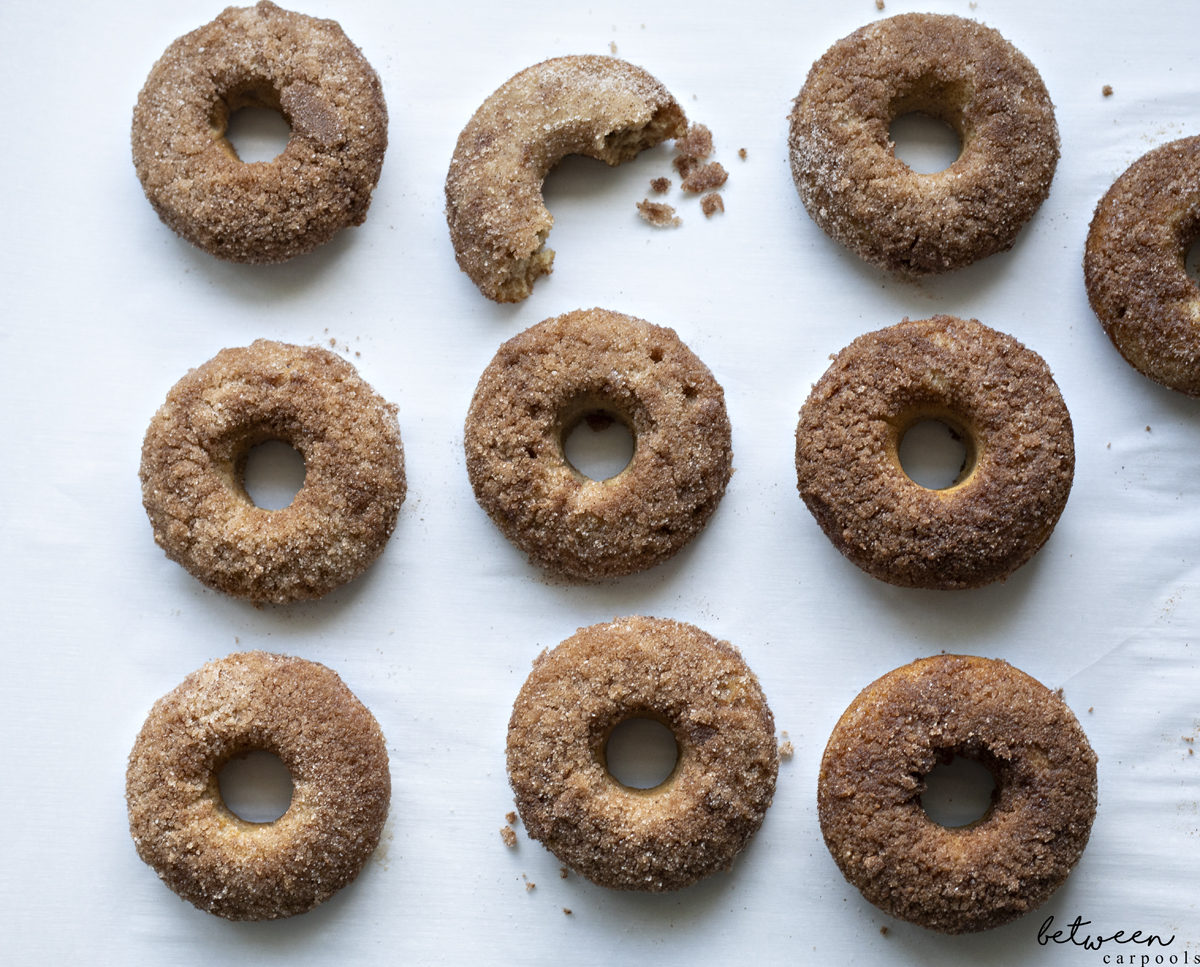 Absolutely Yummy Apple Cider Baked Donuts