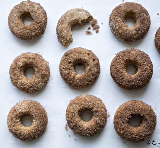 Absolutely Yummy Apple Cider Baked Donuts