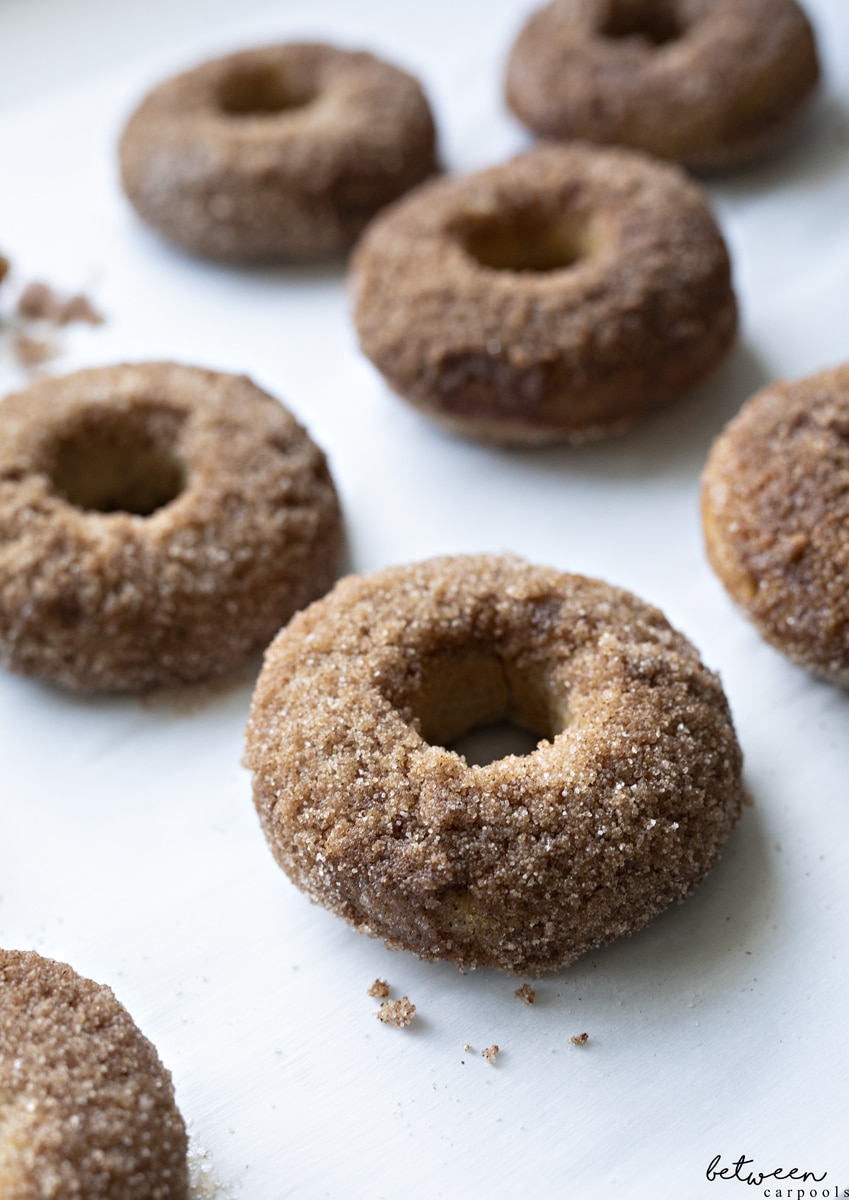 Absolutely Yummy Apple Cider Baked Donuts