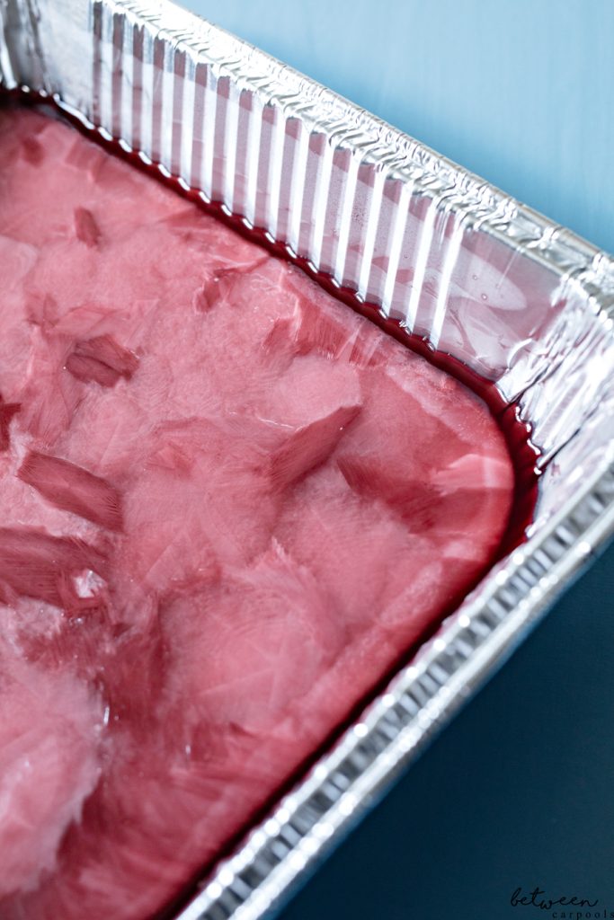 This Grape Juice Sorbet is Our Favorite Pesach Treat Between Carpools