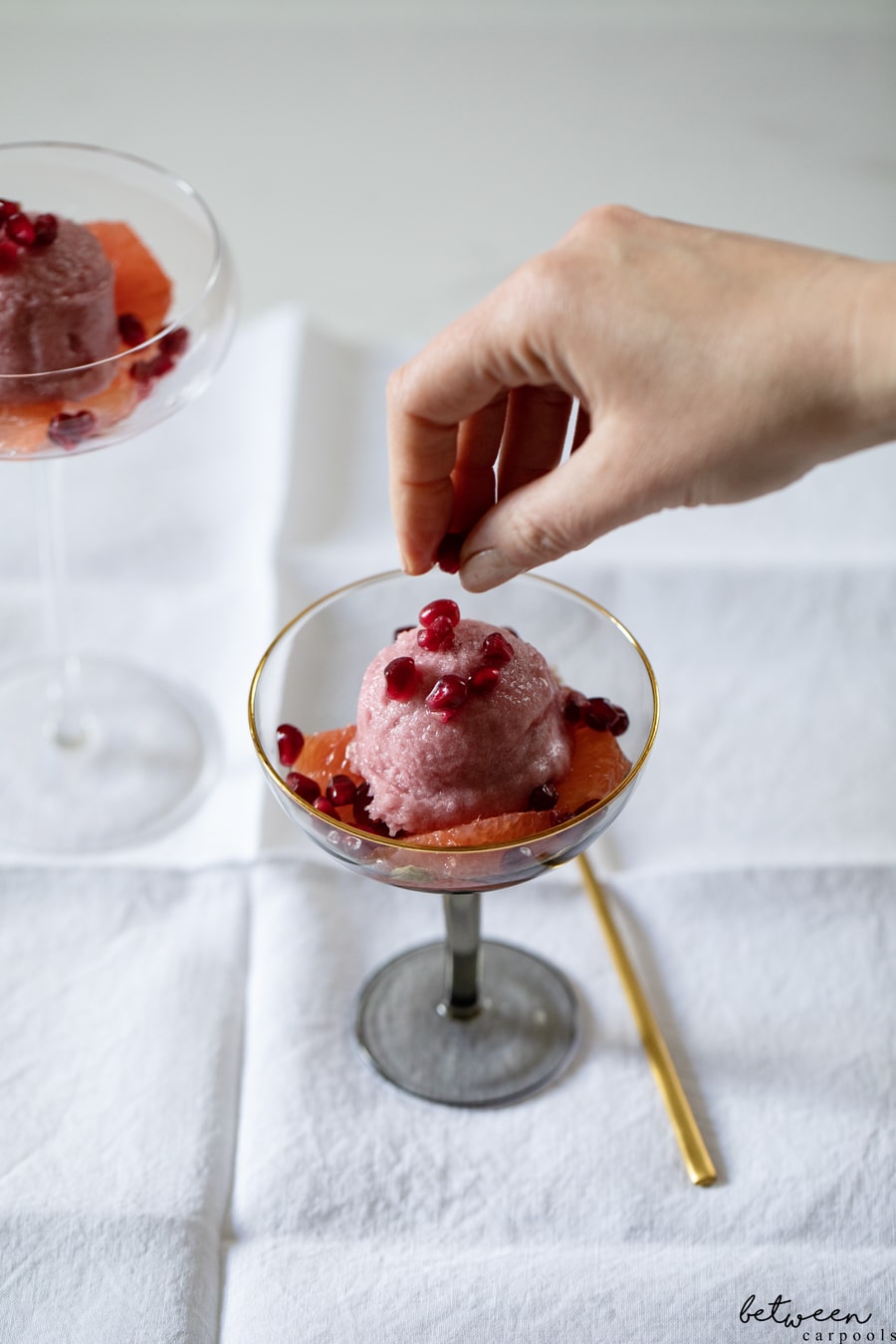 This Is the Dessert My Family Enjoyed the Most. Grapefruit + Pomegranate + Sorbet. You can’t go wrong with this light and refreshing way to end a Yom Tov meal.