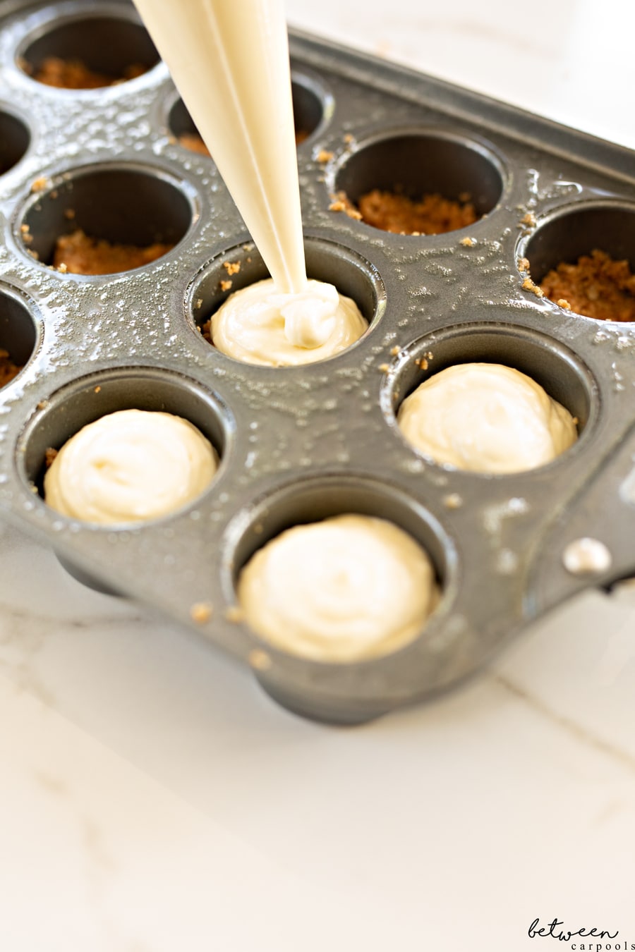 Mini Cheesecake Pan • The Answer is Cake