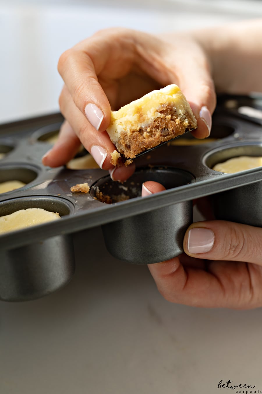 Baker's Mark Mini Cheesecake Pan w/ Removable Bottom