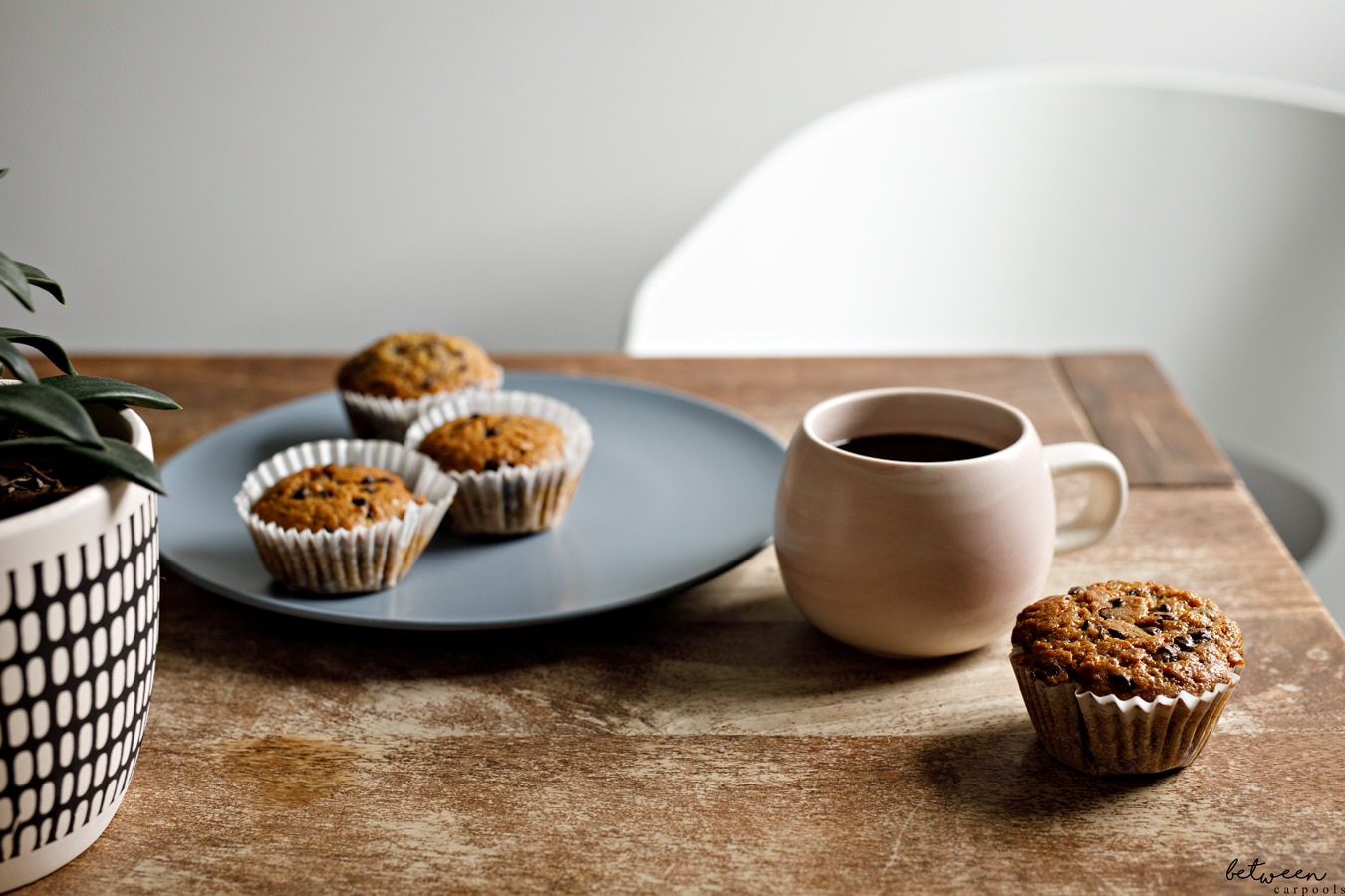 Yummy, Moist Chocolate Chips Muffins You’ll Bake Again and Again