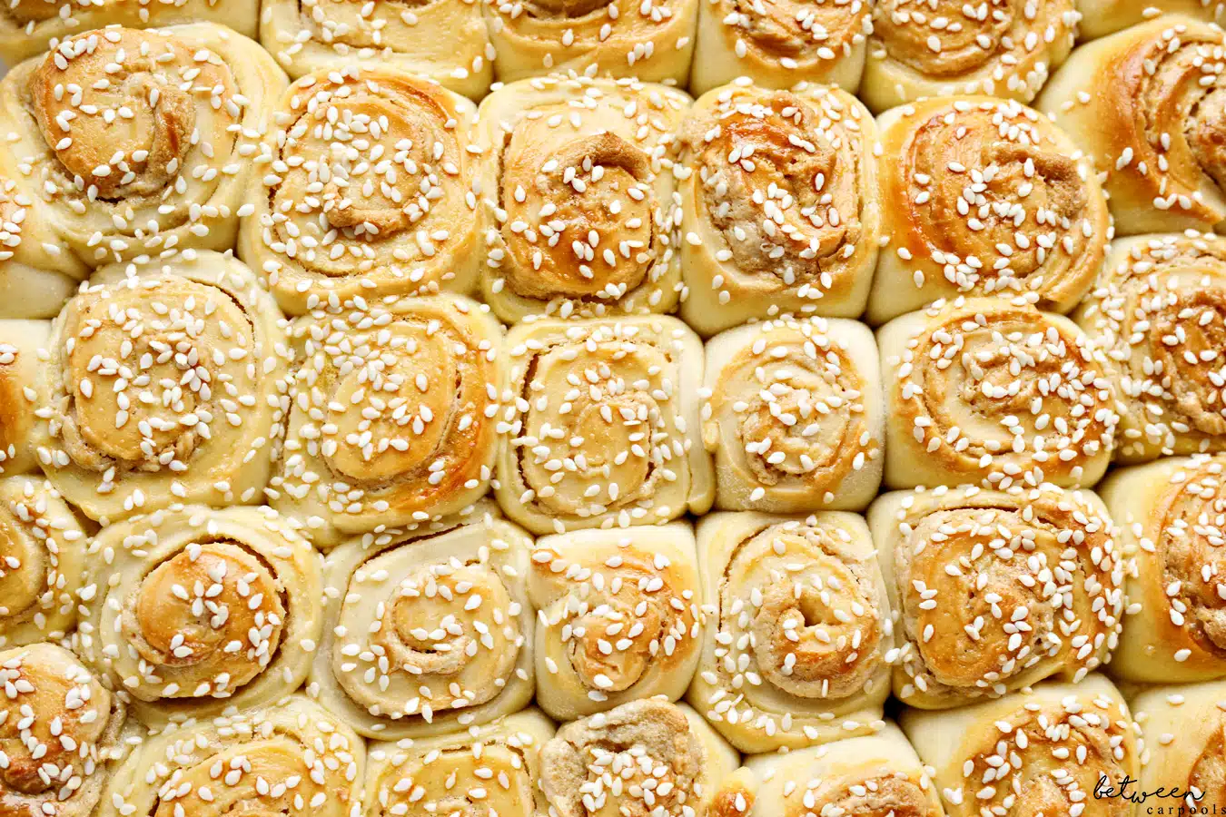 halvah buns