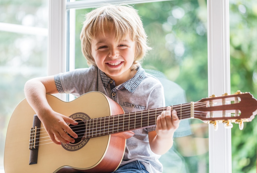 musical instrument guitar