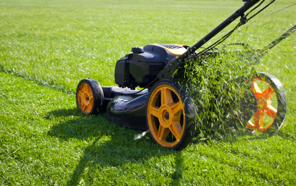 green lawn diy