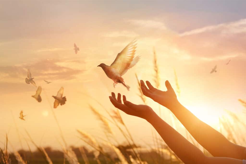 It’s Not Personal: One Way to Make It Easy to Forgive