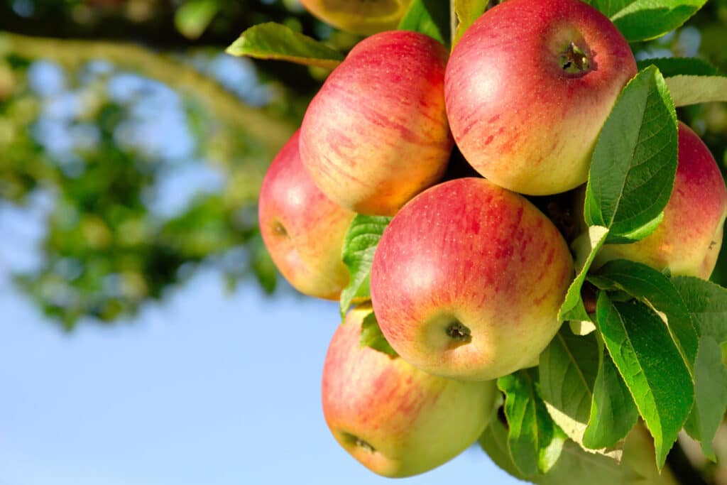 You Have a Fresh Start This Rosh Hashanah: Start By Loving Who You Are