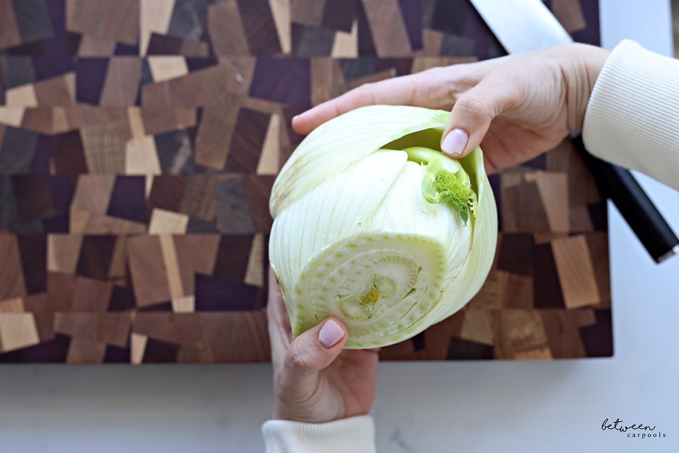 This Refreshing Apple and Fennel Salad is Perfect for Pesach