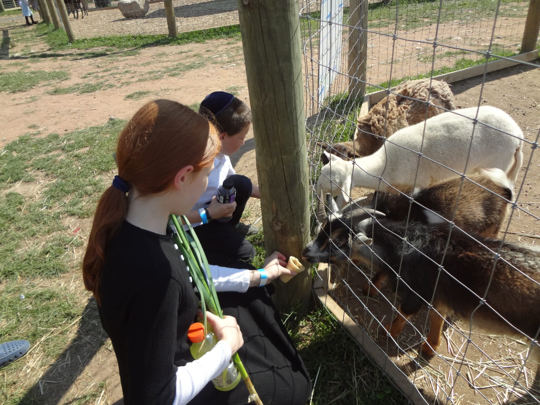 Where to Go & What to Do in Monsey, New York Between Carpools