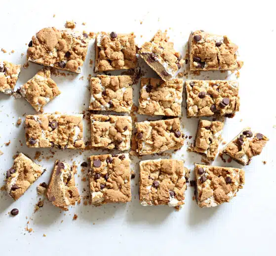 Easy Oven S'mores Bars sliced into squares.
