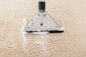 Should I Get a Carpet Cleaner?