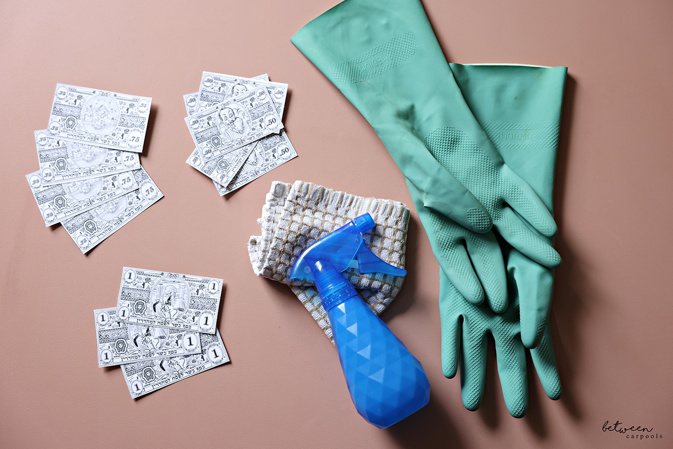 Pesach money bills and latex gloves, a cloth and spray bottle. on pink background