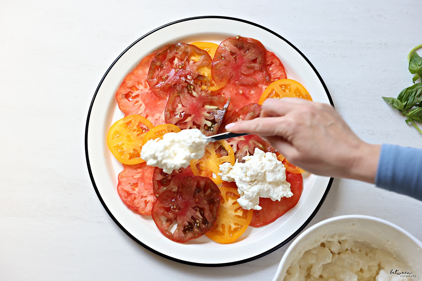 Dollops of soft cheese on tomatoes - carpaccio style - on a round plate