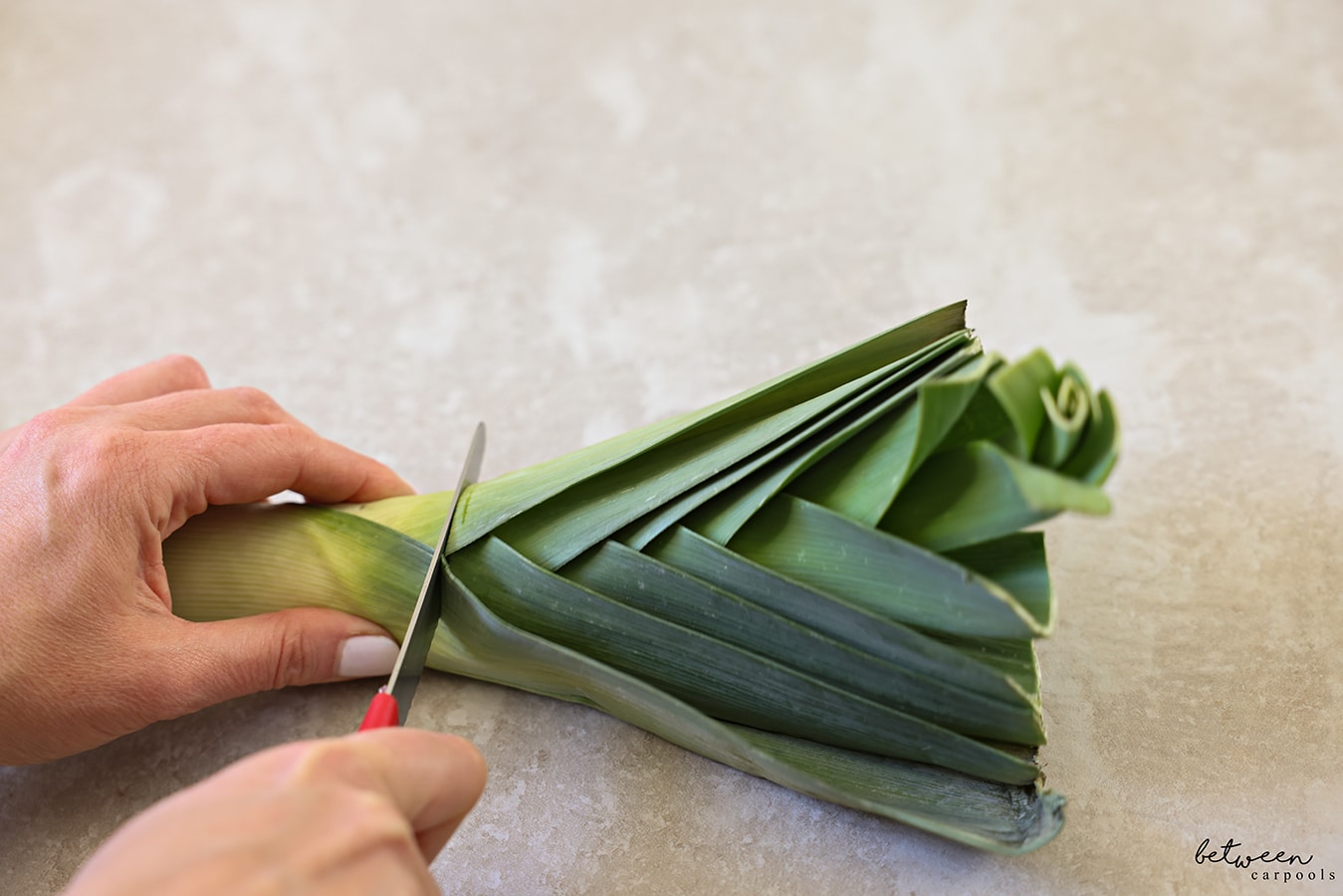 Slicing off the top - dark green - of a leek