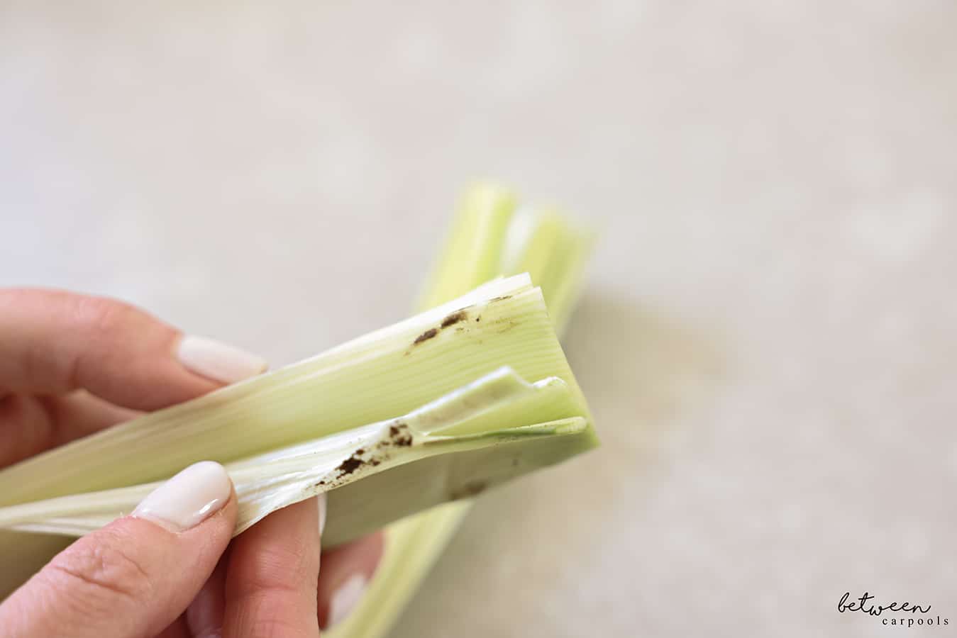 showing leek is dirty between layers