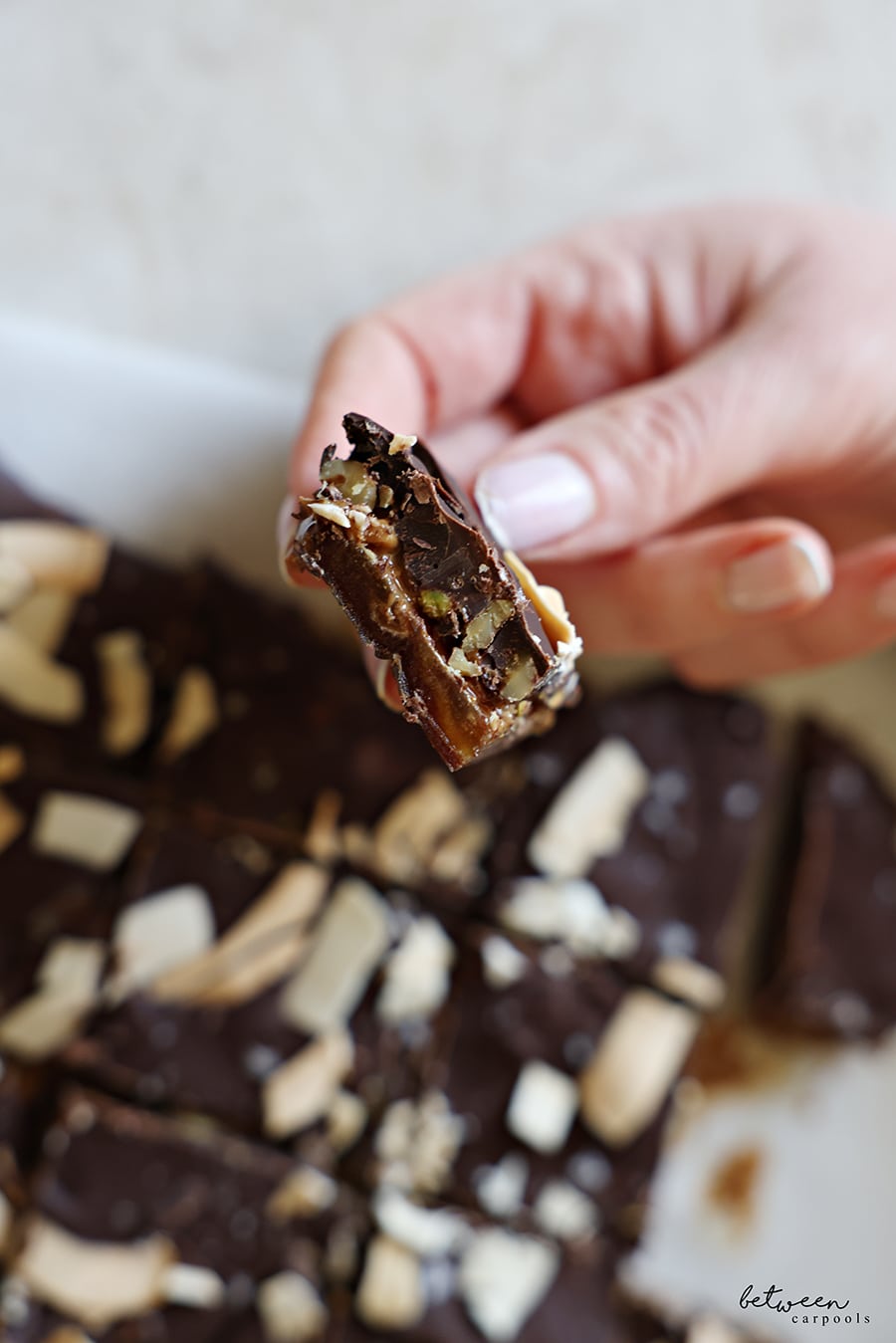 Holding a piece of date bark - closeup of bark inside.