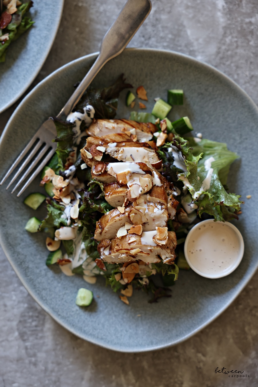 Grilled chicken salad, plated.