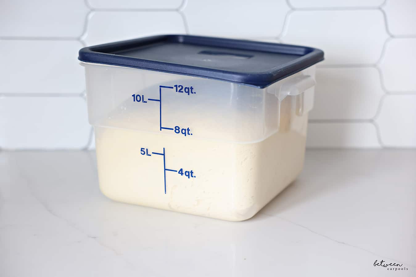 Challah dough in a Cambro 12 qt. food storage container.