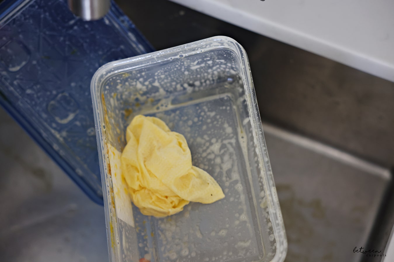 A wet and soapy container plus lid from Meatballs with a dirty paper towel in the container that absorbed its grease.