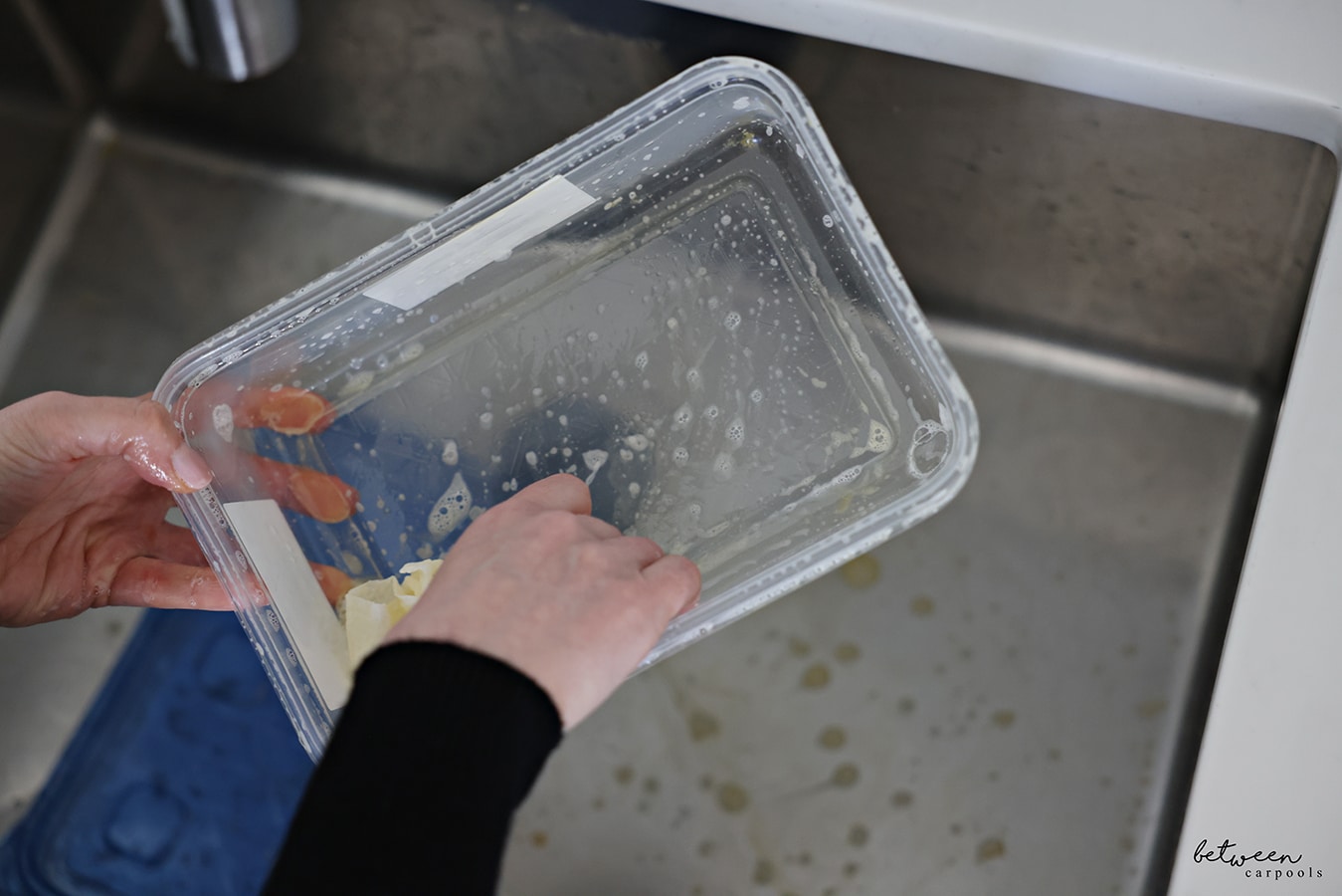 Holding a wet and soapy container from Meatballs with a dirty paper towel in the container that absorbed its grease.