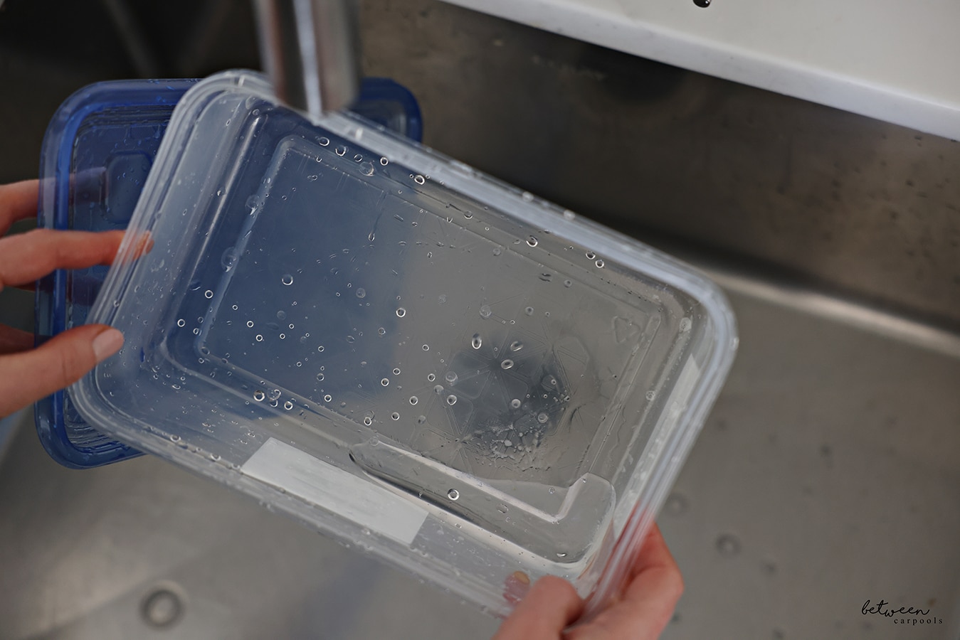 Holding a clean container plus lid over the kitchen sink.