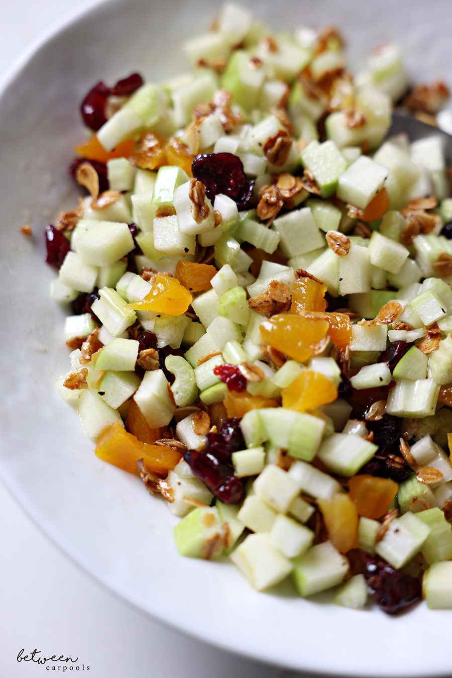 Closeup of bowl of Celery and Green Apple Salad.