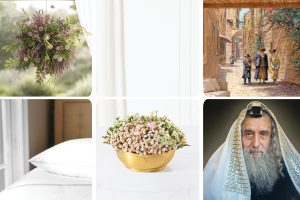 Spotlight on: The Most Beautiful Items for Your Sukkah