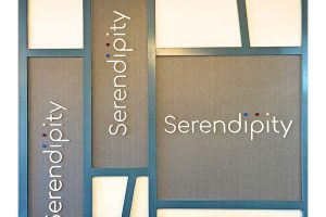 You’ll Be Surprised By What You Find at Serendipity
