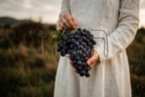 Rosh Chodesh Tammuz: See the Essence
