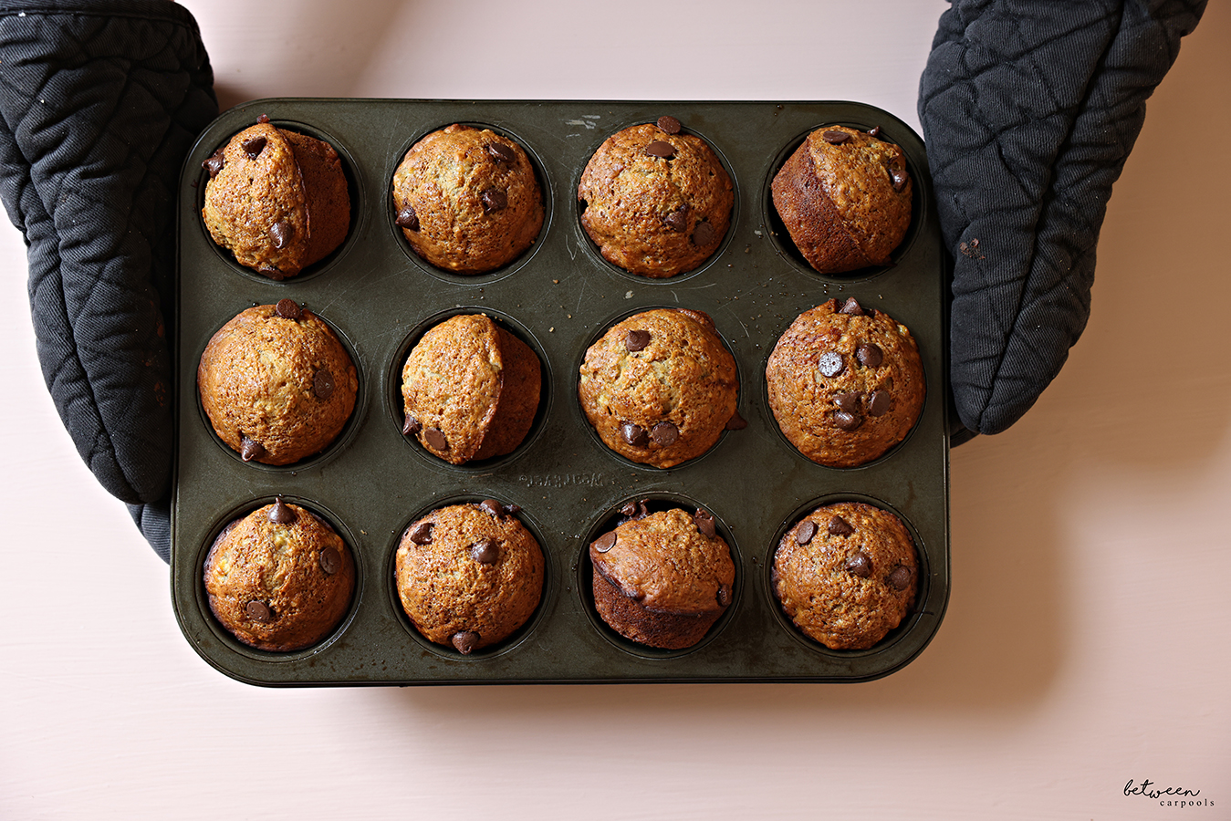 Holding a 12 cup muffin pan with oven mitts with freshly baked gorgeous chocolate chip banana muffins.